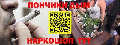 СК Дубна