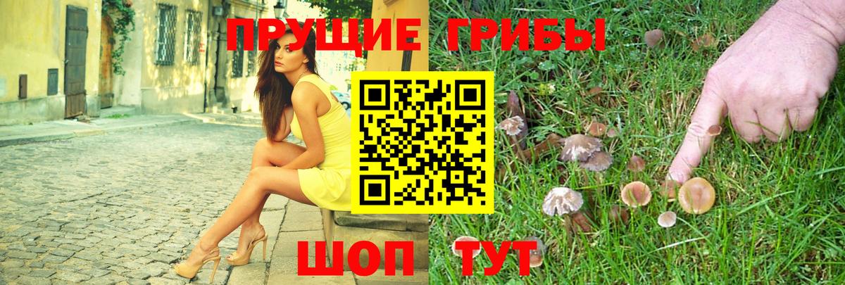 Галлюциногенные грибы ЛСД Калуга