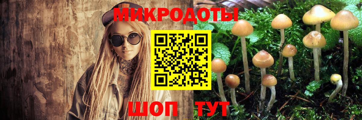 Галлюциногенные грибы прущие грибы  Галлюциногенные грибы GOLDEN TEACHER  Калуга  Вход с VPN 
